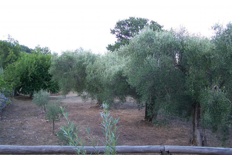 Affittacamere Agrestis Domus San Giovanni a Piro Esterno foto