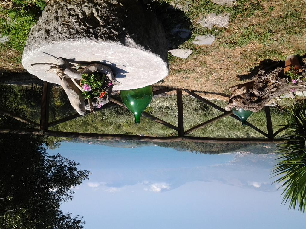 Affittacamere Agrestis Domus San Giovanni a Piro Esterno foto