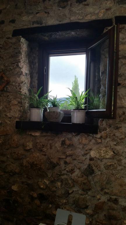 Affittacamere Agrestis Domus San Giovanni a Piro Esterno foto